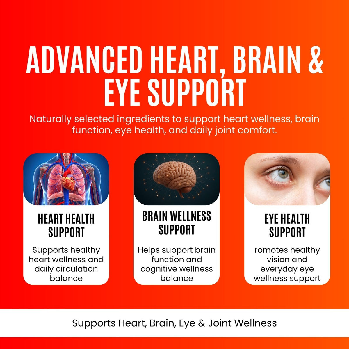 Omega-3 Fish Oil Capsules 500 mg – Heart & Brain Support