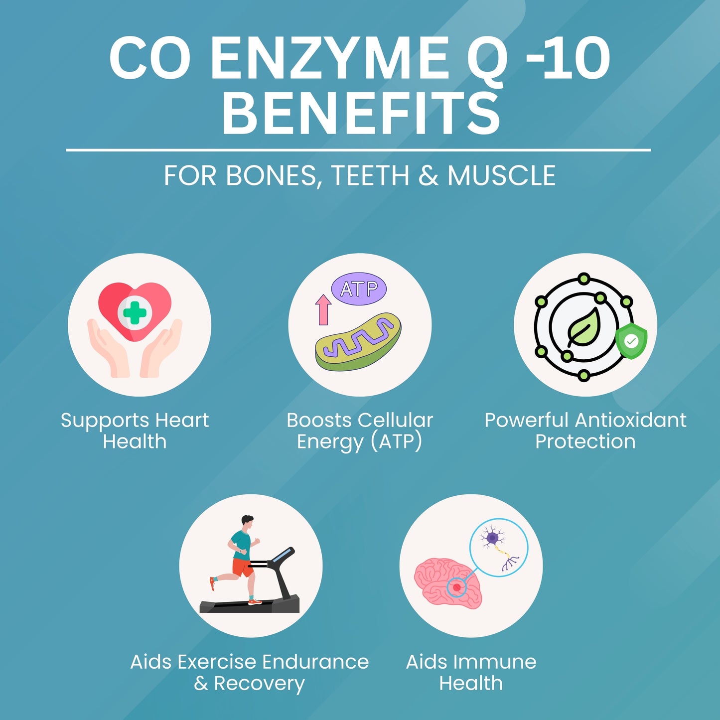 Co Enzyme Q 10 - 100 mg