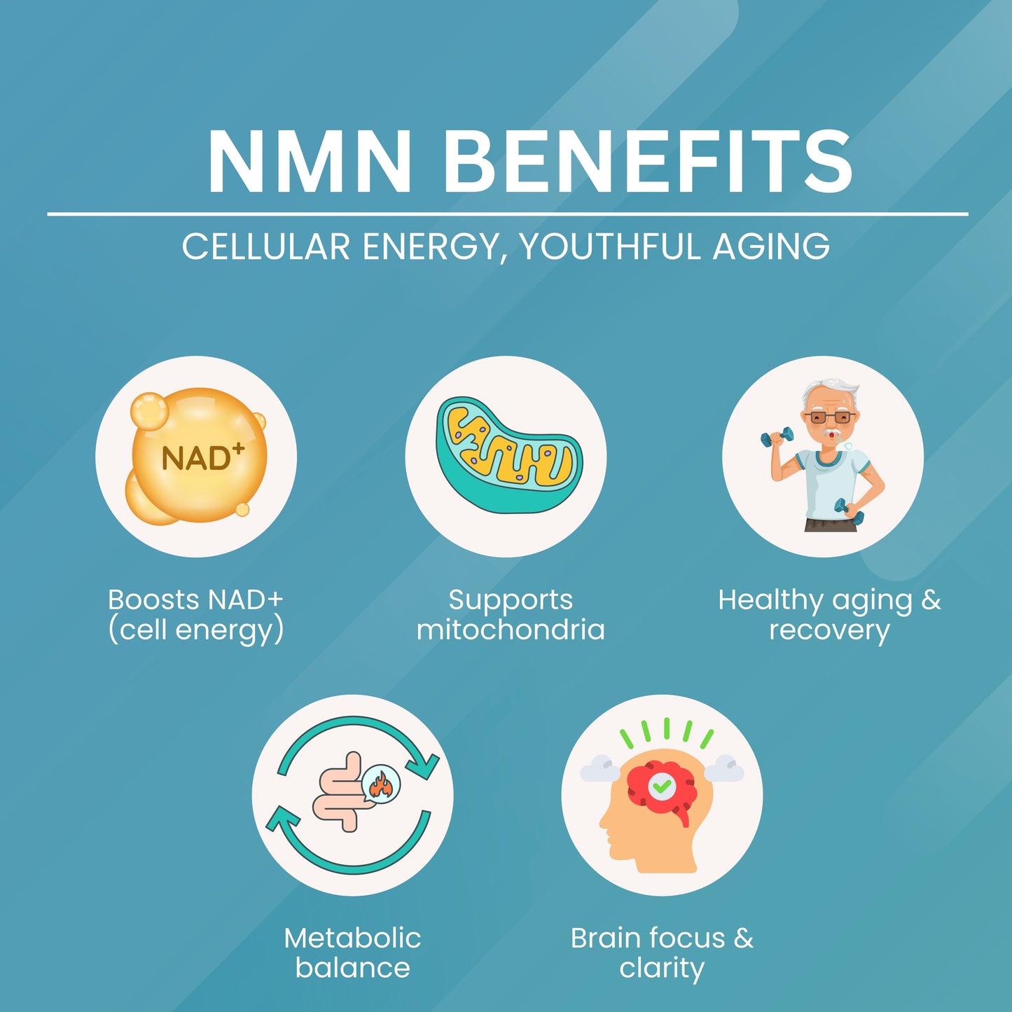 NMN 410 mg – Cellular Energy & Longevity Support