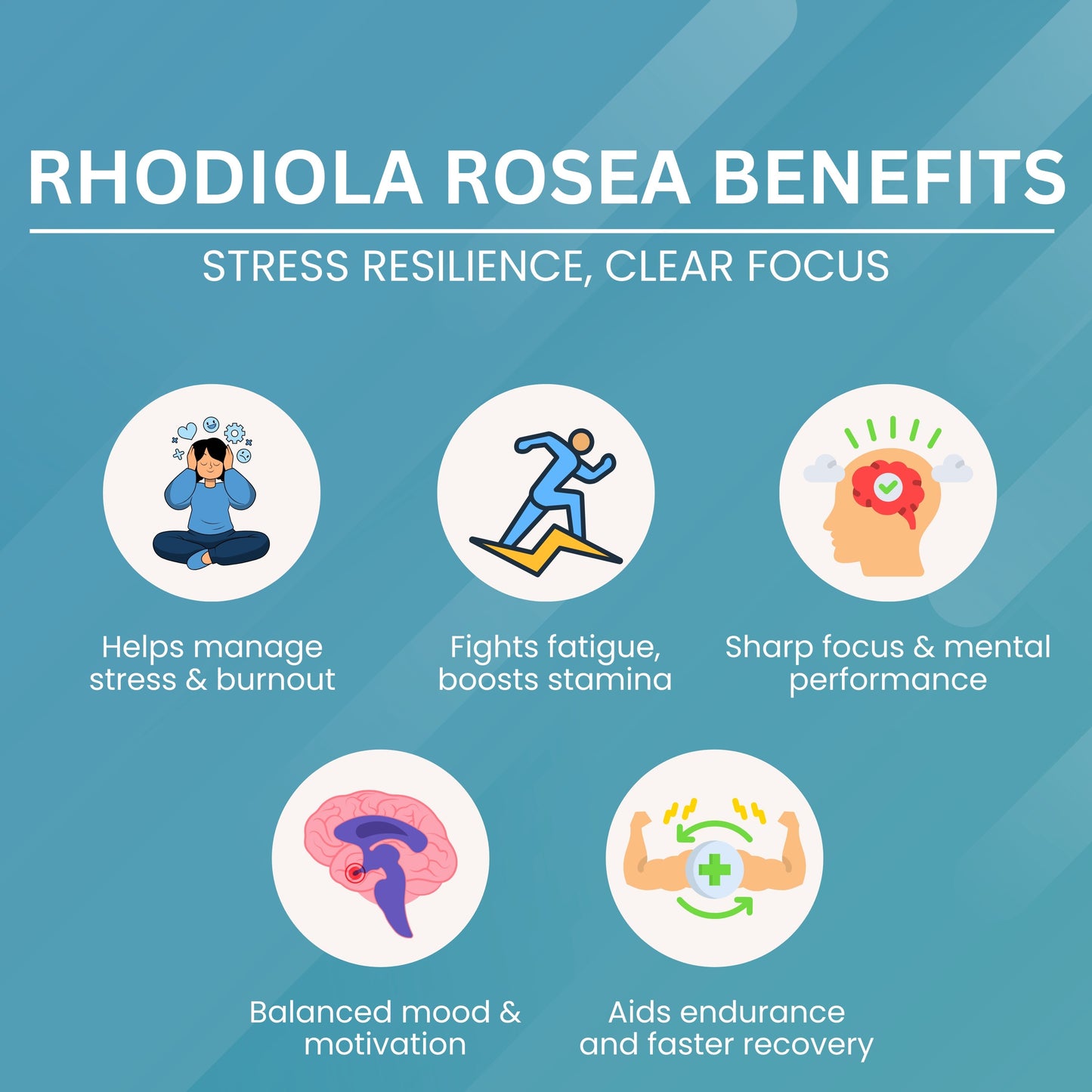 Rhodiola Rosea - 450 mg