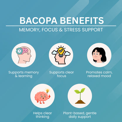 Bacopa - 500 mg