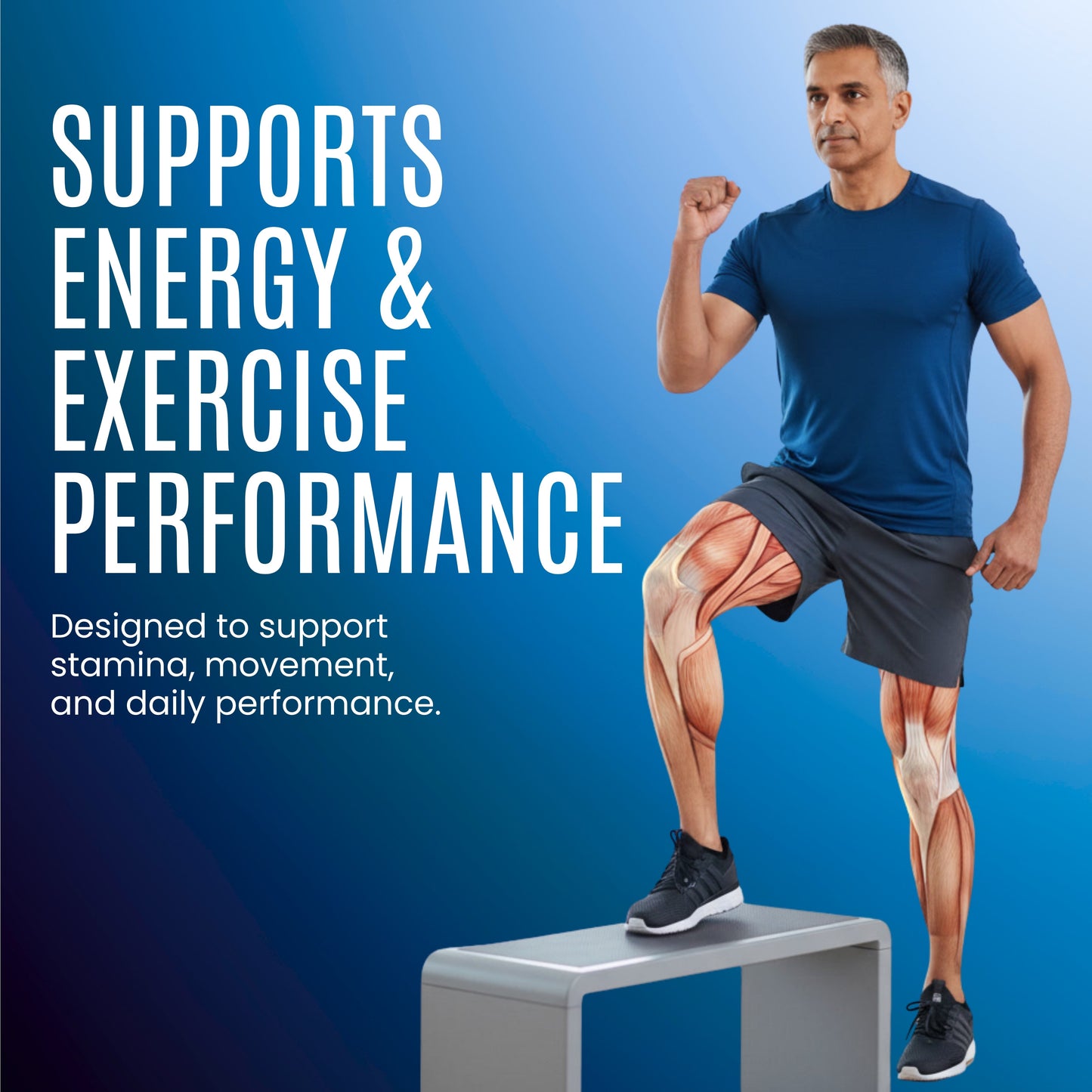 Nitric Oxide - 500mg Capsules – Pump & Performance Support