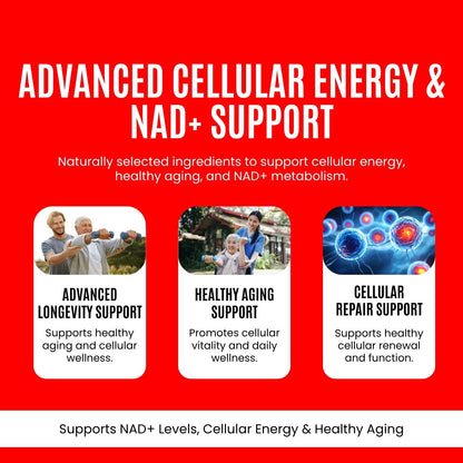 NAD+ Capsules 500 mg – Cellular Energy & Longevity