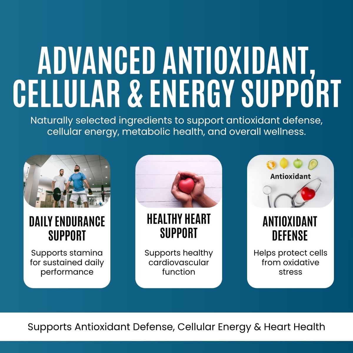 Alpha Lipoic Acid - 500 mg