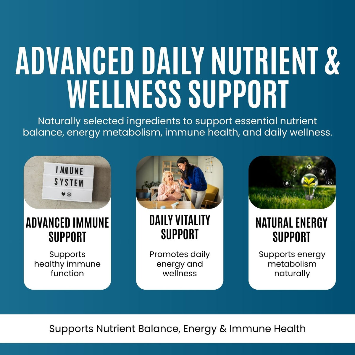 Multivitamins Tablets 500 mg – Daily Wellness Support