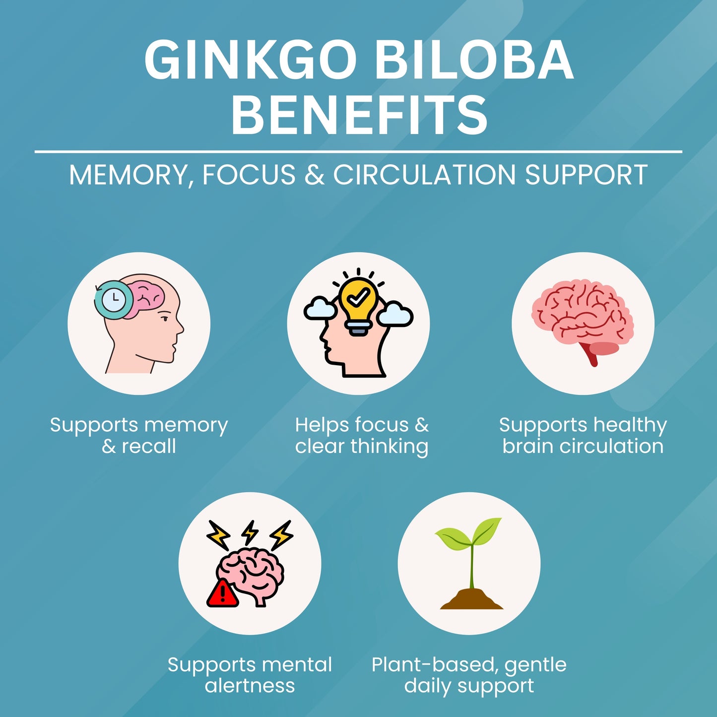 Ginkgo Biloba - 500 mg