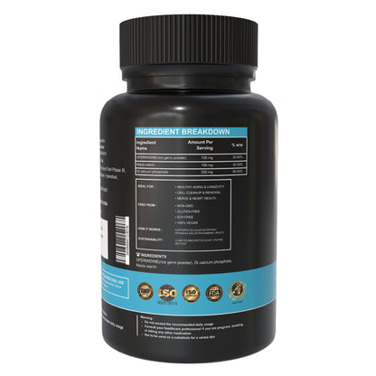 Spermidine - 100 mg