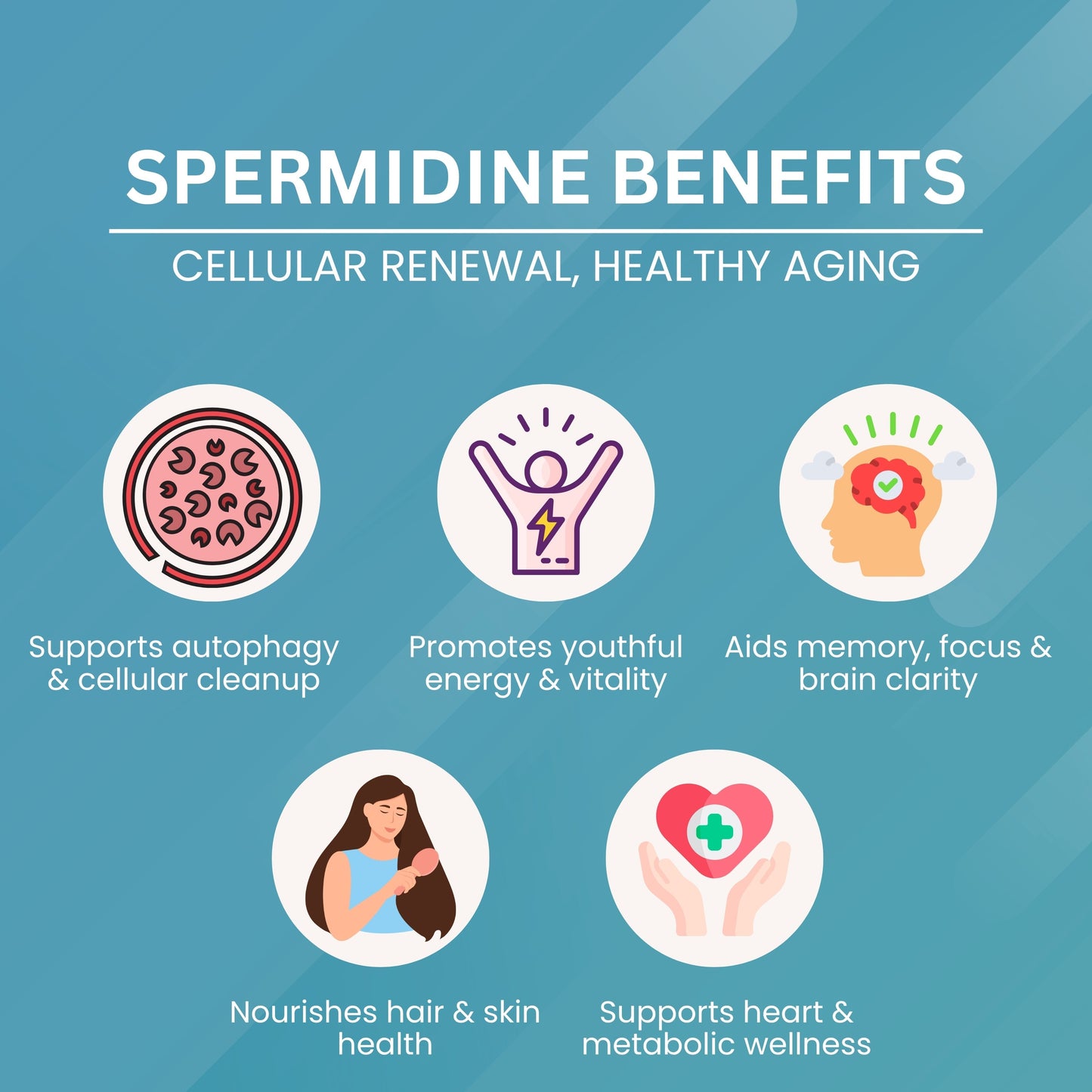 Spermidine - 100 mg