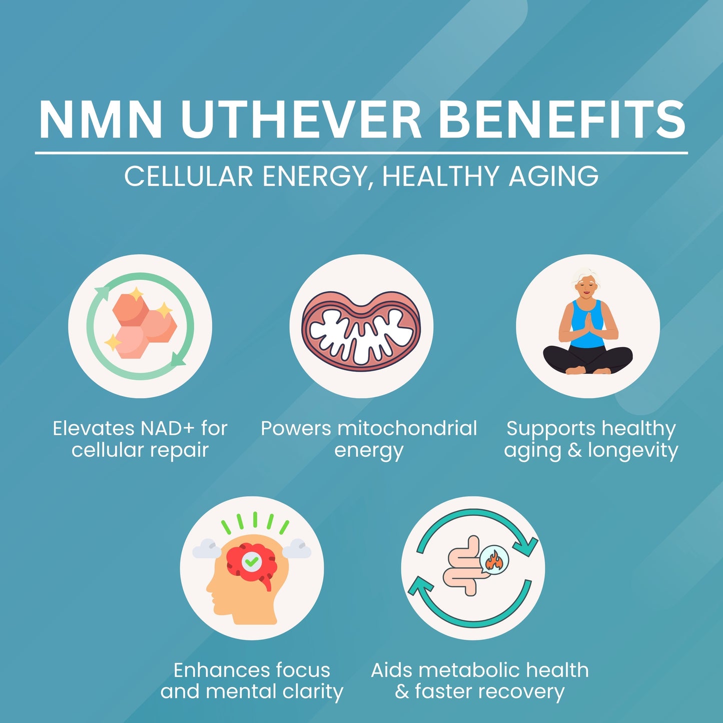 NMN Uthever Capsule - 510mg