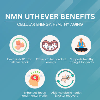 NMN Uthever Capsule - 510mg