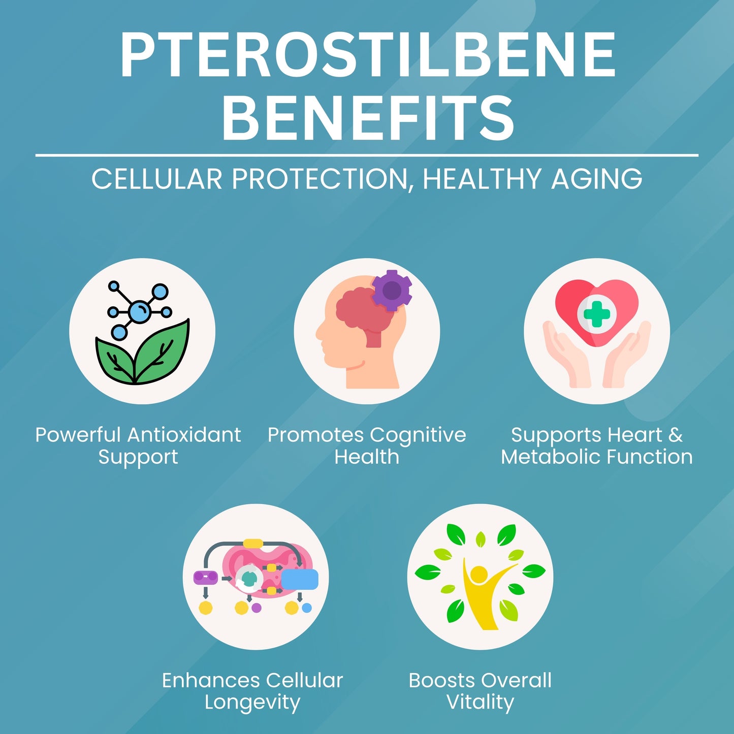 Pterostilbene - 100 mg