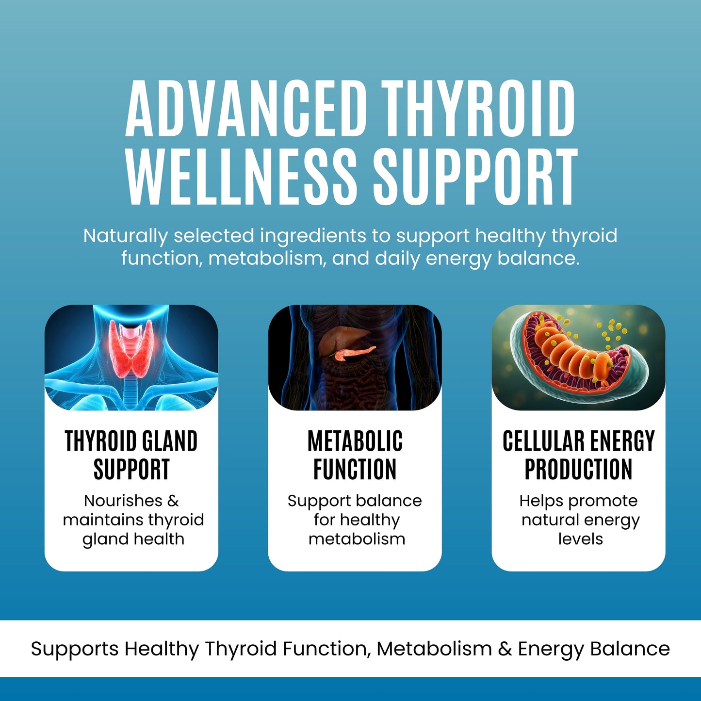 Thyroid Support - 500 mg