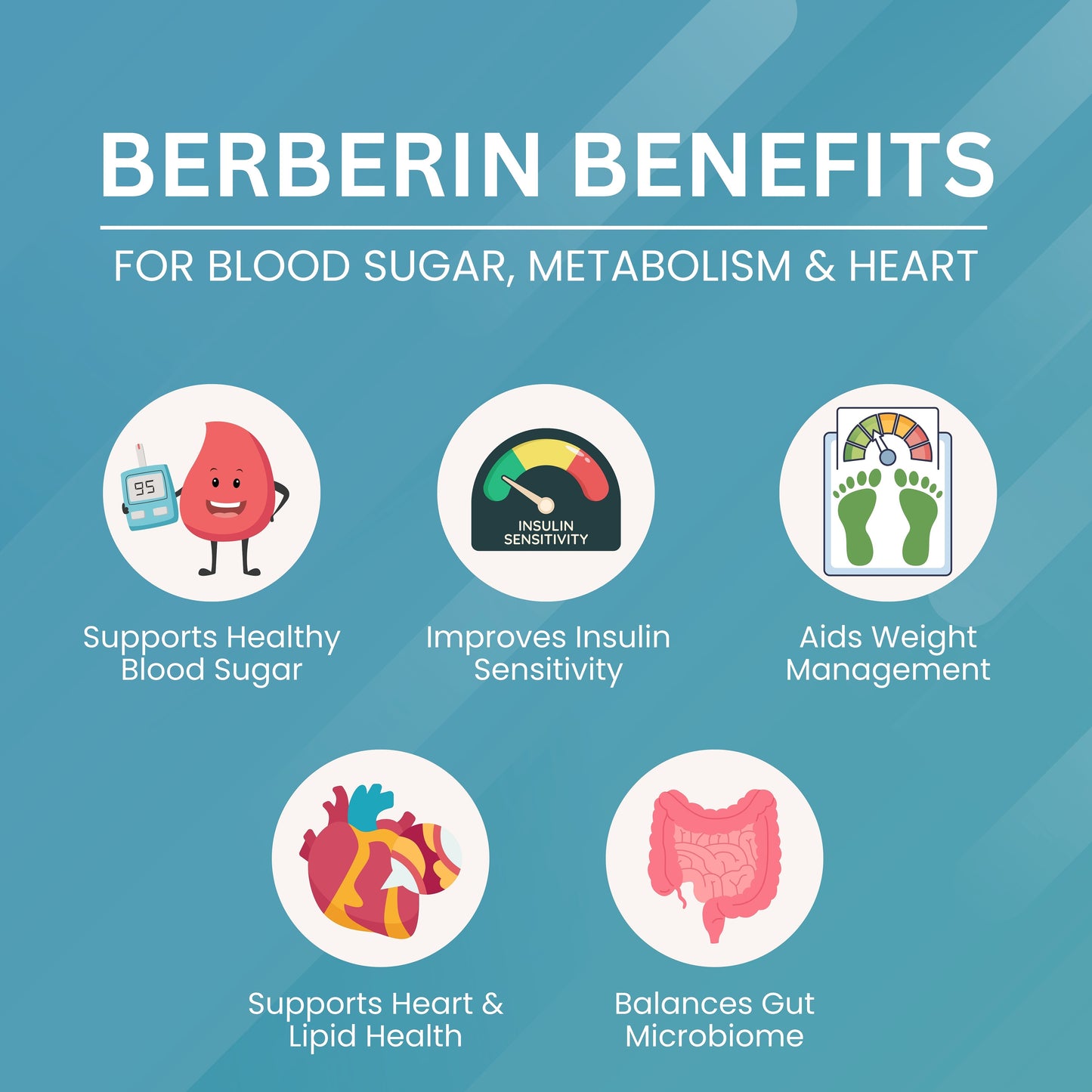Berberine 500 mg – Blood Sugar & Metabolic Support
